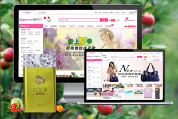 ��۳������̳�