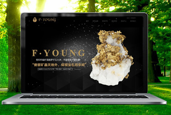 ��۸������ﱦʯ